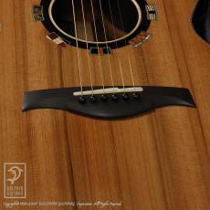 Legacy Project Dusk (SJ Cutaway)_11