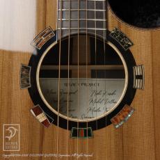 Legacy Project Dusk (SJ Cutaway)_12
