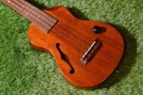 T's ECF-100 Concert【USED】