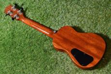 T's ECF-100 Concert【USED】_4