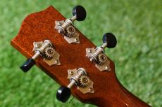 T's ECF-100 Concert【USED】_6