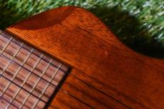 T's ECF-100 Concert【USED】_9