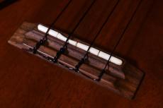 T's ECF-100 Concert【USED】_11