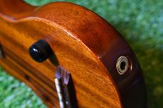 T's ECF-100 Concert【USED】_15