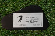 T's ECF-100 Concert【USED】_17