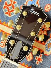 Taylor 【決算セール!8月31日まで】CTM DNE-BRZ 2014年製 【ブラジリアンローズ】_5