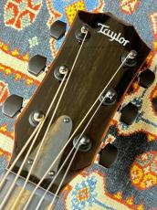 Taylor 【決算セール!8月31日まで・タリアカポプレゼント】Custom GA #13027 cocobolo&Shinker【1本限定モデル】_5