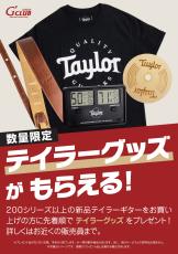 Taylor 【決算セール!8月31日まで・タリアカポプレゼント】Custom GA #13027 cocobolo&Shinker【1本限定モデル】_10