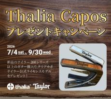 Taylor 【決算セール!8月31日まで・タリアカポプレゼント】Custom GA #13027 cocobolo&Shinker【1本限定モデル】_11