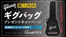 Gibson 【決算セール!8月31日まで】1963 Dove Light Aged Dark Natural #22105027_10
