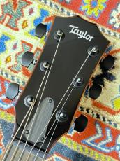 Taylor 【決算セール!8月31日まで・タリアカポプレゼント】Custom GA UrbanAsh #13031_5