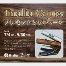 Taylor 【決算セール!8月31日まで・タリアカポプレゼント】GT K21e #120315201_11