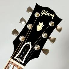 Gibson 【B級大特価】Dove Original VCS #22205077 【実物写真】【無金利キャンペーン】_8