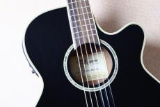 Takamine 【決算セール!8月31日まで・薄胴ボディ・ナット幅42mm】 TSP100 KT-N #63050317_4