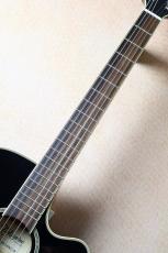 Takamine 【決算セール!8月31日まで・薄胴ボディ・ナット幅42mm】 TSP100 KT-N #63050317_5