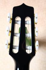 Takamine 【決算セール!8月31日まで・薄胴ボディ・ナット幅42mm】 TSP100 KT-N #63050317_7