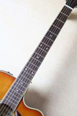 Takamine 【決算セール!8月31日まで】DMP761C TB #63060016【送料当社負担・分割無金利】_5