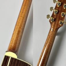 Takamine 【決算セール!8月31日まで】PTU541C N #62070331 【送料当社負担・最大48回分割無金利】_8