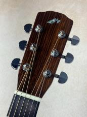Morris 【決算セール!8月31日まで】M-80II 2023年製_7