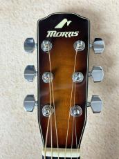 Morris 【決算セール!8月31日まで】MR-1003 Limited Edition_4