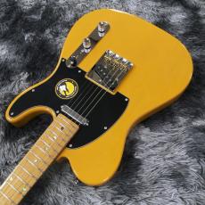 Sire Larry Carlton T7 BB (Butterscotch Blonde)  【旧仕様最終入荷!】【ラリーカールトン監修】【2025年製】_4
