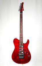 SCHECTER 【クロサワ楽器名古屋店オーダーモデル】KR-KC-2-24-MH/BCH/R -Black Cherry-《NEW》_2