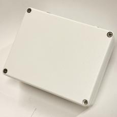 BROWNE AMPLIFICATION Protein V4 White -Dual Overdrive-_2