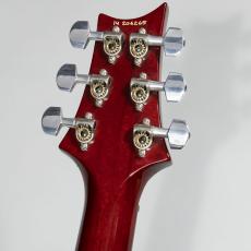 Paul Reed Smith [PRS] AL DI MEOLA Prizm Custom Color 2014【3.72kg】_5