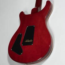 Paul Reed Smith [PRS] AL DI MEOLA Prizm Custom Color 2014【3.72kg】_6