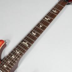 Paul Reed Smith [PRS] AL DI MEOLA Prizm Custom Color 2014【3.72kg】_7