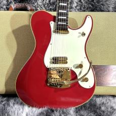 Fender Japan TERRY-1 30th Anniversary
