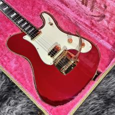 Fender Japan TERRY-1 30th Anniversary_2