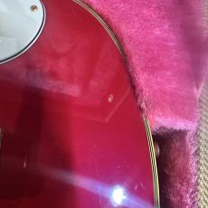 Fender Japan TERRY-1 30th Anniversary_3