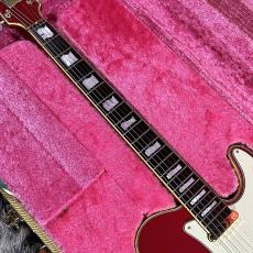 Fender Japan TERRY-1 30th Anniversary_4
