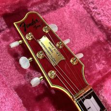 Fender Japan TERRY-1 30th Anniversary_5