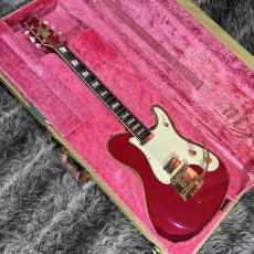 Fender Japan TERRY-1 30th Anniversary_6