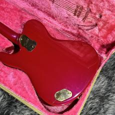 Fender Japan TERRY-1 30th Anniversary_8