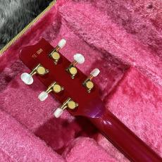 Fender Japan TERRY-1 30th Anniversary_10