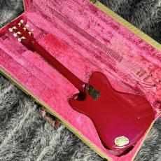 Fender Japan TERRY-1 30th Anniversary_11