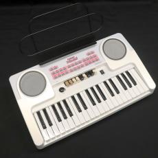 Hammond ハモンド・プリンセス HEK-2_2