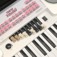 Hammond ハモンド・プリンセス HEK-2_4