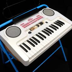 Hammond ハモンド・プリンセス HEK-2_6