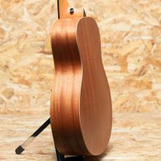 Taylor GS Mini-e Special Edition Sakuraburst_5