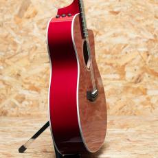 Taylor 214c-RED DLX_4