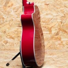 Taylor 214c-RED DLX_5