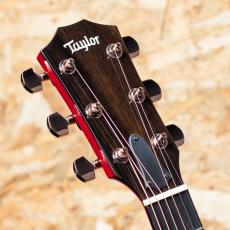 Taylor 214c-RED DLX_8