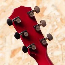 Taylor 214c-RED DLX_9