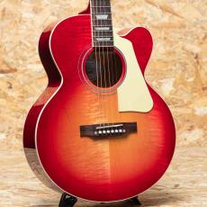 Gibson Les Paul Parlor Aoustic VCS
