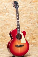 Gibson Les Paul Parlor Aoustic VCS_3