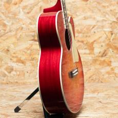 Gibson Les Paul Parlor Aoustic VCS_4
